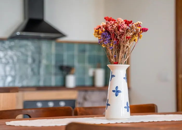 Catalina * Каманьяс